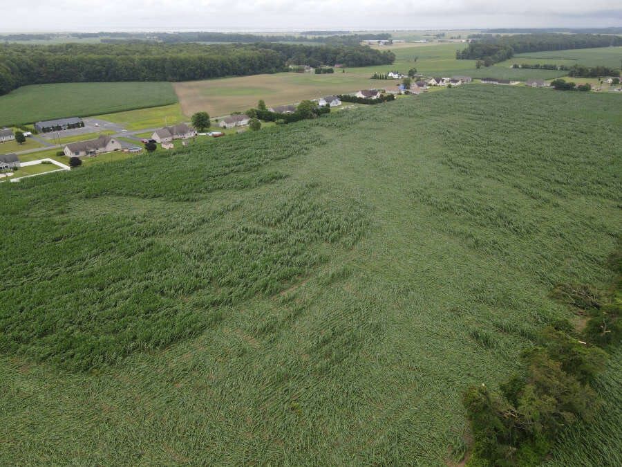 Updated: Possible Tornado Passes Through Milford Area